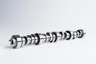 03-01-0011 Cam Motion Titan Series Ls Performance Camshaft