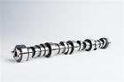 03-01-0031 Cam Motion Mild Performance Ls Truck Camshaft
