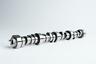 03-01-0077 Cam Motion Junkyard Dog Series Performance Ls Camshaft