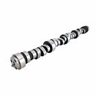 08-464-8 Comp Cams Xtreme Fi