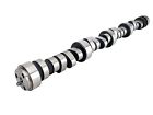 08-600-8 Competition Cams Thumpr Camshaft 036584171973