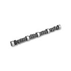 10110617 Lunati High Efficiency Camshaft 788120712651