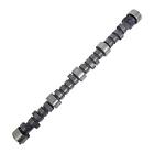 10304 Crane Cams Energizer Camshaft