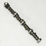 10310464 Lunati High Efficiency Camshaft 788120714549