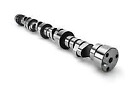 10330701 Lunati Voodoo Hydraulic Flat