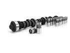 10340102lk Lunati Barebones Camshaft And Lifter Kit 788120734561 10340102lk Lunati Barebones Camshaft And Lifter Kit 788120734561
