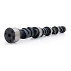 11-254-20 Comp Cams Xtreme Energy