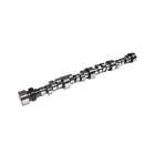 Com11-713-9 11-713-9 Comp Cams Camshaft Cb Com 036584670018 Com11-713-9 11-713-9 Comp Cams Camshaft Cb Com 036584670018