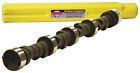 112031-08 Howards Cams Hydraulic Flat 840793102204