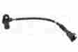 12147539169 Oe Supplier New Camshaft