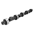 20-208-2 Comp Cams 75-78 Chrysler 036584500100