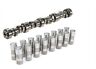200584k Jegs Performance Products Camshaft Lifters Kit Ls Includes 200584k Jegs Performance Products Camshaft Lifters Kit Ls Includes