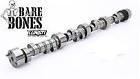 20080131 Lunati Barebones Camshafts