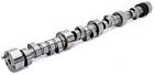20110121 Lunati Barebones Hydraulic Roller Camshaft Chevy Big Block 788120718080 20110121 Lunati Barebones Hydraulic Roller Camshaft Chevy Big Block 788120718080