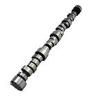 20120656 Lunati Efi Compatible Camshaft 788120775304 20120656 Lunati Efi Compatible Camshaft 788120775304