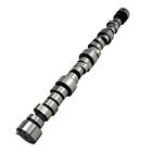20120855 Lunati Camshaft 788120718493