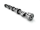 20120861 Lunati Camshaft 788120718523 20120861 Lunati Camshaft 788120718523