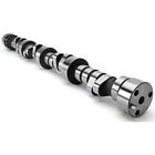 20540501 Lunati Solid Roller Camshaft Gm Ls Gen 788120720144