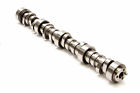 0.531-0.531 20540710 Lunati Hyd Roller Cam In Lift Gm 788120720236