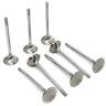 2123-8 Gsc Power Division Chrome Exhaust Valve Head Set For