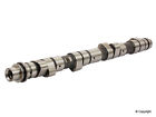 056-1006 215109 Wd Express Febi Engine