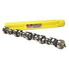 221133-12 Howards Cams Ford Big Bottle Oxide Mechanical Roller 840793110445