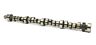 0.473-0.488 284281 Crane Hyd Flat Tap Cam In Lift Pontiac