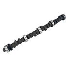 34-340-4 Comp Cams Magnum Solid Camshaft Ford Rpm