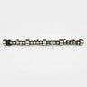 396271281-14 Isky Racing Cams Big Block Chevy Hydraulic Flat Tappet Camshaft