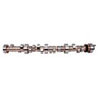 449631 Crane Cams Camshaft 021174028362 449631 Crane Cams Camshaft 021174028362