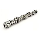 624-536-13 Competition Cams Xfi Afm Camshaft 036584267041