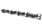 6900015 Oe Supplier New Camshaft