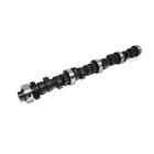 304-345-392 83-202-4 Comp Cams High Energy Camshaft International