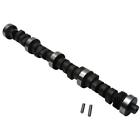 3000-6750 91555011 Speedway Motors Ford Solid Lifter Cam Rpm
