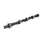 92-601-5 Comp Cams Thumpr Hydraulic Camshaft Buick 036584213314
