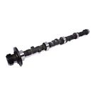 94-600-5 Comp Cams Thumpr Hydraulic Flat Tappet Camshaft Lift 036584213338