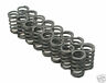 Bc1100 Brian Crower Single Valve Springs Dodge Neon Eclipse Bc1100 Brian Crower Single Valve Springs Dodge Neon Eclipse