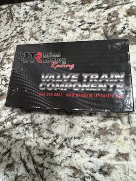 Pr7350312-16 Brian Tooley Racing Btr 5/16 Inch Diameter 7.350 Chromoly Pushrods Pr7350312-16 Brian Tooley Racing Btr 5/16 Inch Diameter 7.350 Chromoly Pushrods
