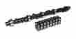 Cl20-208-2 Competition Cams High Energy Camshaft Lifter Kit 036584450405