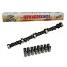 Cl728001-09 Howards Cams Hydraulic Flat Tappet Rattler Camshaft Lifter 840793147588 Cl728001-09 Howards Cams Hydraulic Flat Tappet Rattler Camshaft Lifter 840793147588
