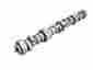 Com54-459-11 54-459-11 Comp Cams Camshaft Ls1 281lr Hr-113 036584195238 Com54-459-11 54-459-11 Comp Cams Camshaft Ls1 281lr Hr-113 036584195238