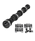 Es1020r-l900 Enginetech Ford Stage Camshaft Lifter Kit Es1020r-l900 Enginetech Ford Stage Camshaft Lifter Kit
