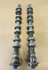 F6ze-6a270-aa F6ze6a271-aa Mustang Real Cobra Intake Cams Svt Camshafts Marauder Mach F6ze-6a270-aa F6ze6a271-aa Mustang Real Cobra Intake Cams Svt Camshafts Marauder Mach