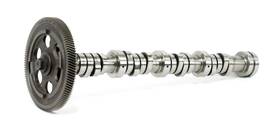 Bc3q-6251-af Ford 6.7l Cam Shaft With Gear