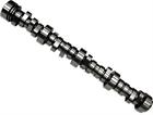 L210065297 Lingenfelter Performance Engineering Camshaft 811744020137