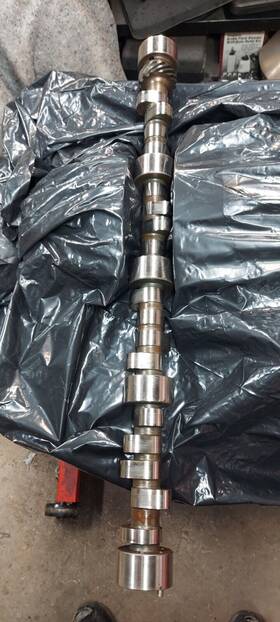 50231 Lunati Bbc Roller Camshaft