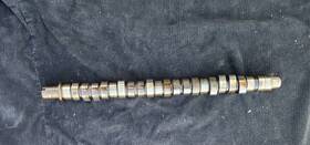 14111-p2e-a00 Oem 1996 1997 1998 1999 2000 Honda Camshaft D16y7 Non Vtec