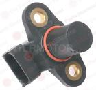 Pc379 Smp New Engine Camshaft 091769563943 Pc379 Smp New Engine Camshaft 091769563943