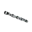 Sum-1796 Summit Racing Camshaft Hydraulic Chevy Bbc 190861036055 Sum-1796 Summit Racing Camshaft Hydraulic Chevy Bbc 190861036055