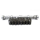 Tck-b-3 Brian Tooley Racing Btr Gm Stage Truck Camshaft Valve Spring